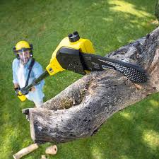 Best Lot and Land Clearing  in Mililani Mauka, HI